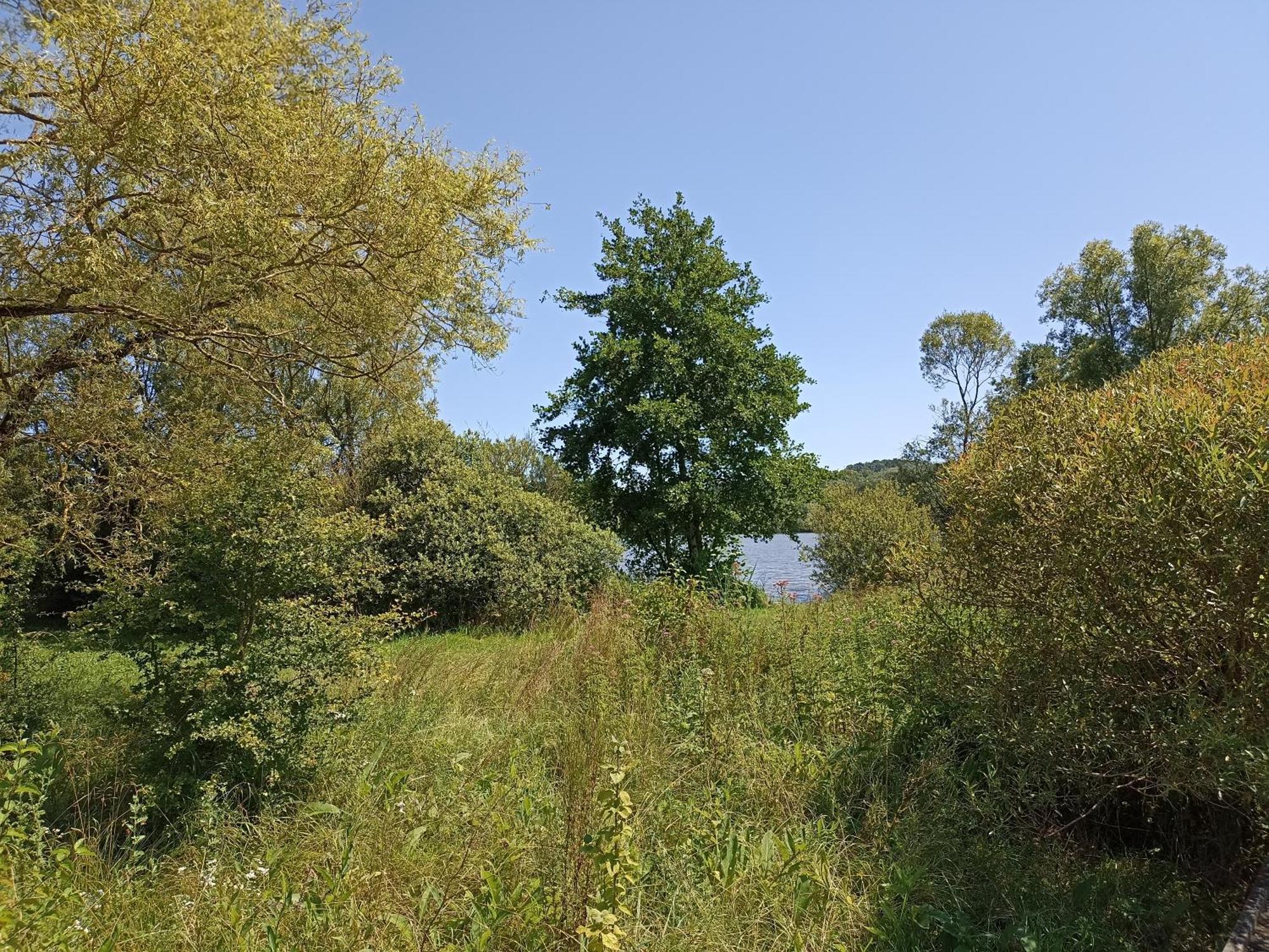 Gite Nature Et Detente Aubreville Bagian luar foto