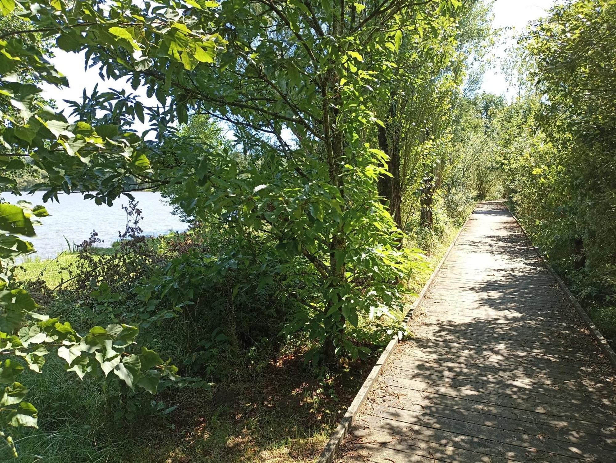 Gite Nature Et Detente Aubreville Bagian luar foto