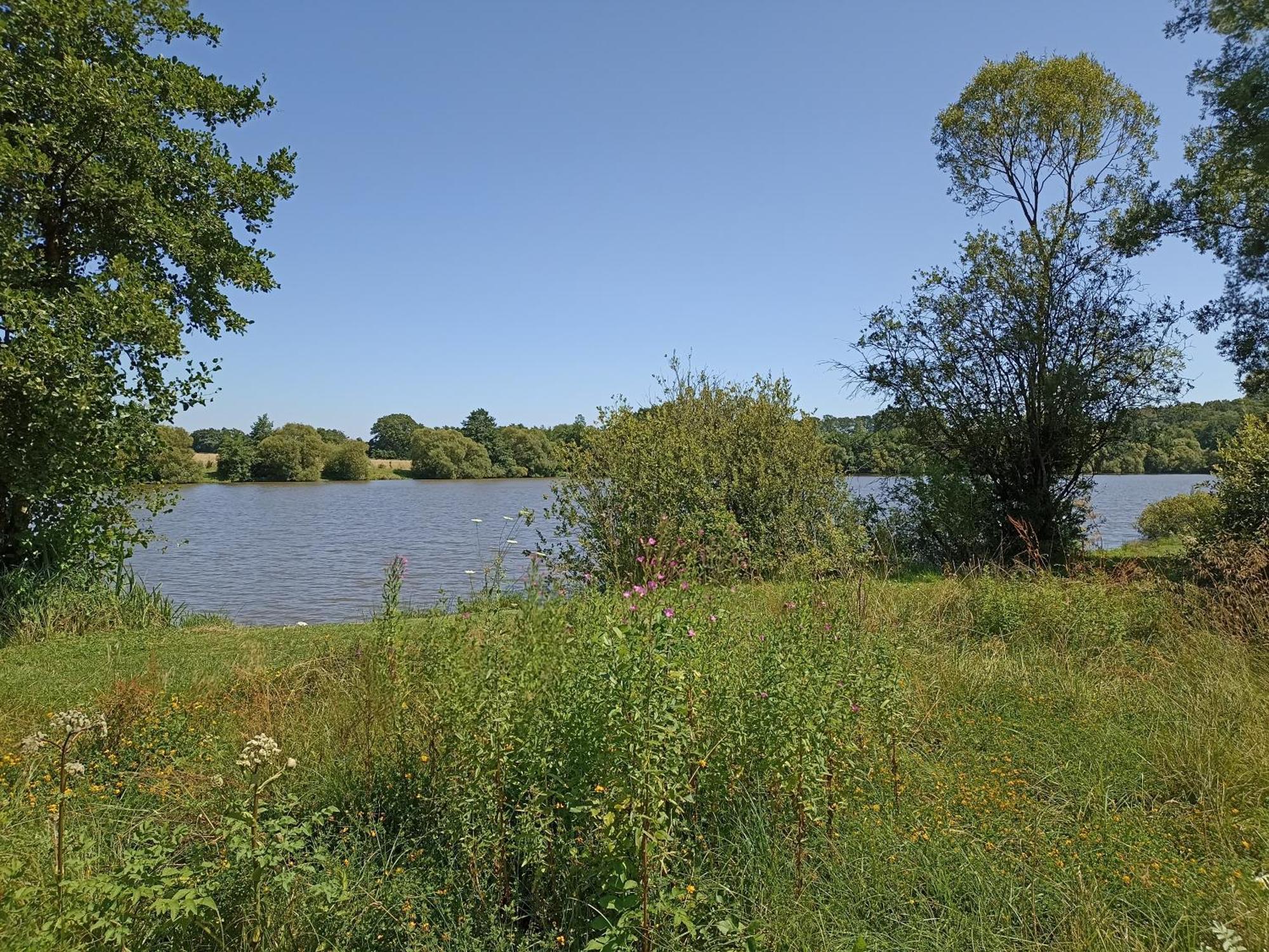 Gite Nature Et Detente Aubreville Bagian luar foto