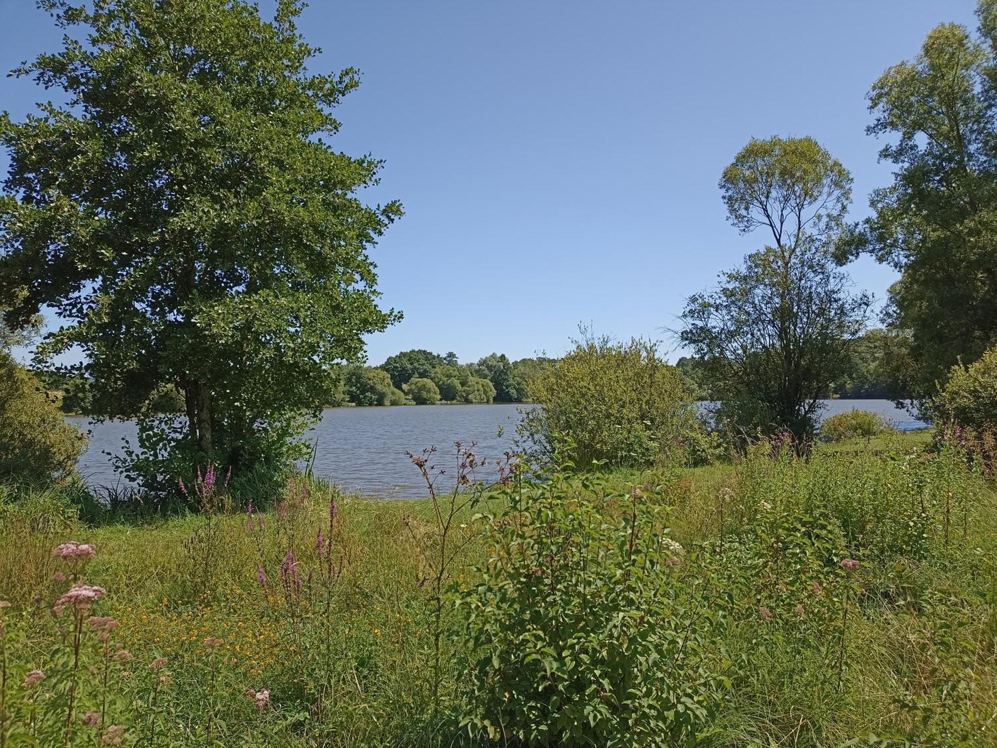 Gite Nature Et Detente Aubreville Bagian luar foto