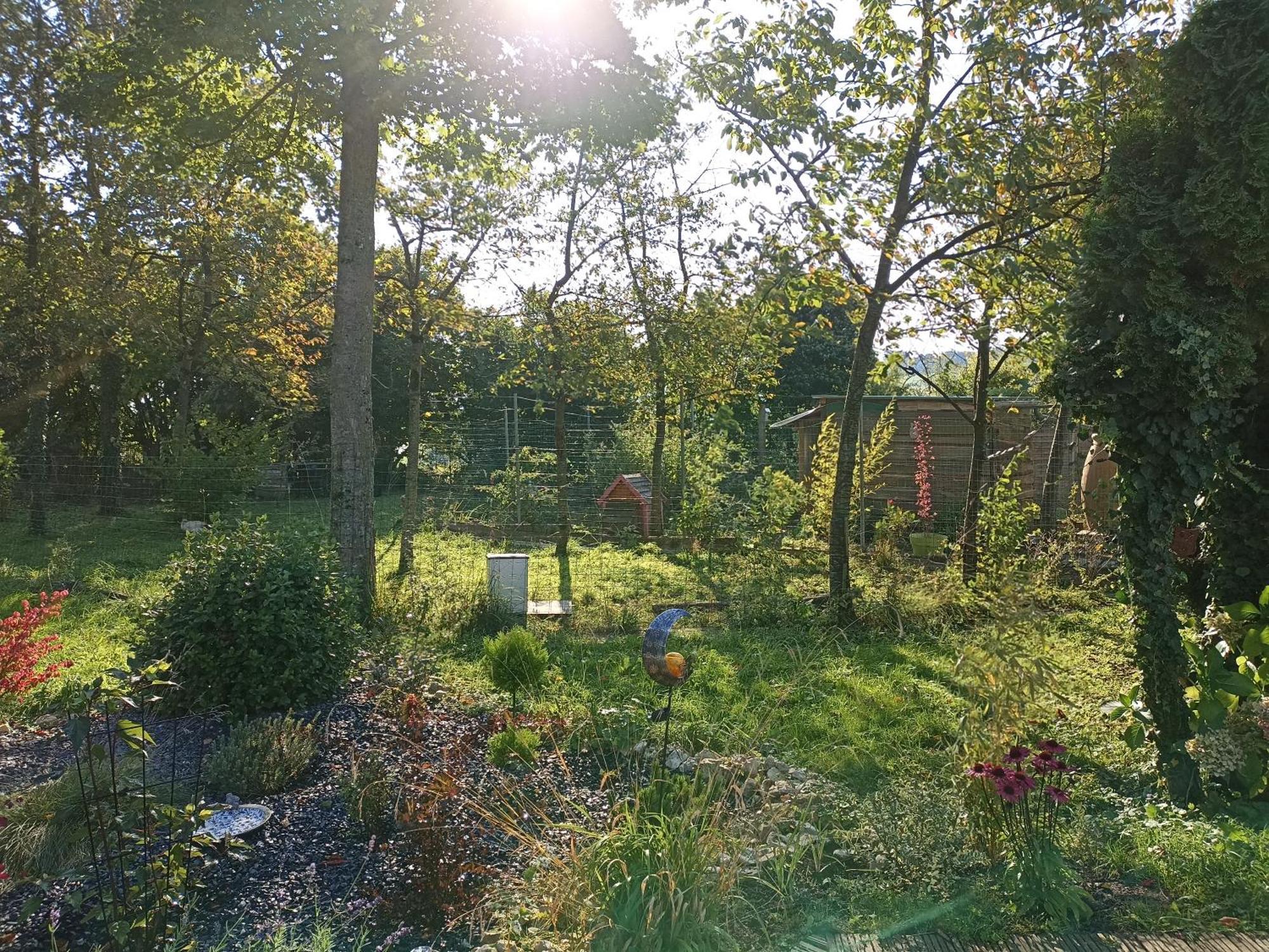 Gite Nature Et Detente Aubreville Bagian luar foto