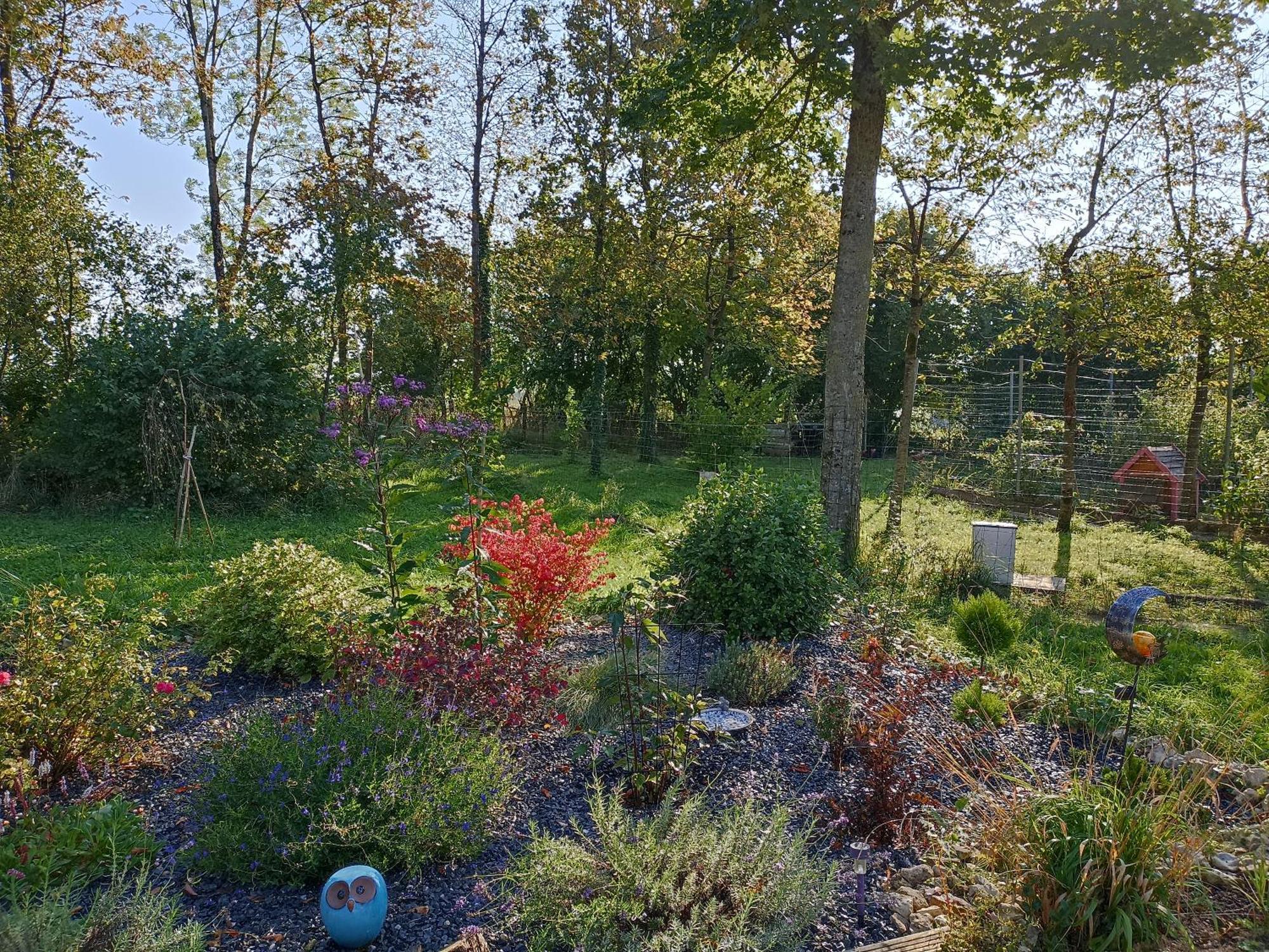 Gite Nature Et Detente Aubreville Bagian luar foto